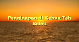 Penginapan di Kebun Teh Solok