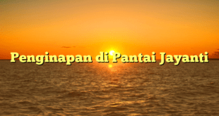 Penginapan di Pantai Jayanti