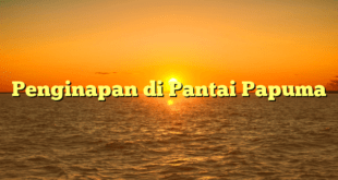 Penginapan di Pantai Papuma