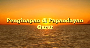 Penginapan di Papandayan Garut