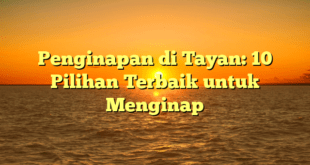 Penginapan di Tayan: 10 Pilihan Terbaik untuk Menginap