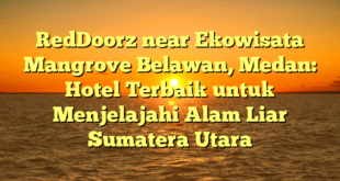RedDoorz near Ekowisata Mangrove Belawan, Medan: Hotel Terbaik untuk Menjelajahi Alam Liar Sumatera Utara