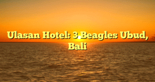 Ulasan Hotel: 3 Beagles Ubud, Bali