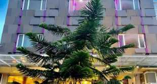 Elohim Hotel Sentani: Pengalaman Menginap yang Mewah di Elohim Hotel Sentani