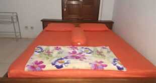 Hotel Samnur: Kenyamanan dan Kemewahan di Hotel Samnur