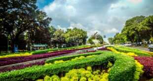 Hotel di Taman Sari Jakarta Barat: Pengalaman Menginap yang Berkelas di Jakarta Barat