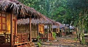 Rimba Orangutan Eco Lodge: Berpetualang di Rimba Orangutan Eco Lodge