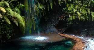 Curug Pangeran Bogor: Destinasi Menginap yang Menawan di Tengah Alam