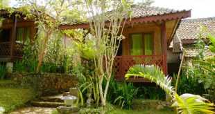 Ijen Resto & Guest House: Pengalaman Menginap yang Menyegarkan