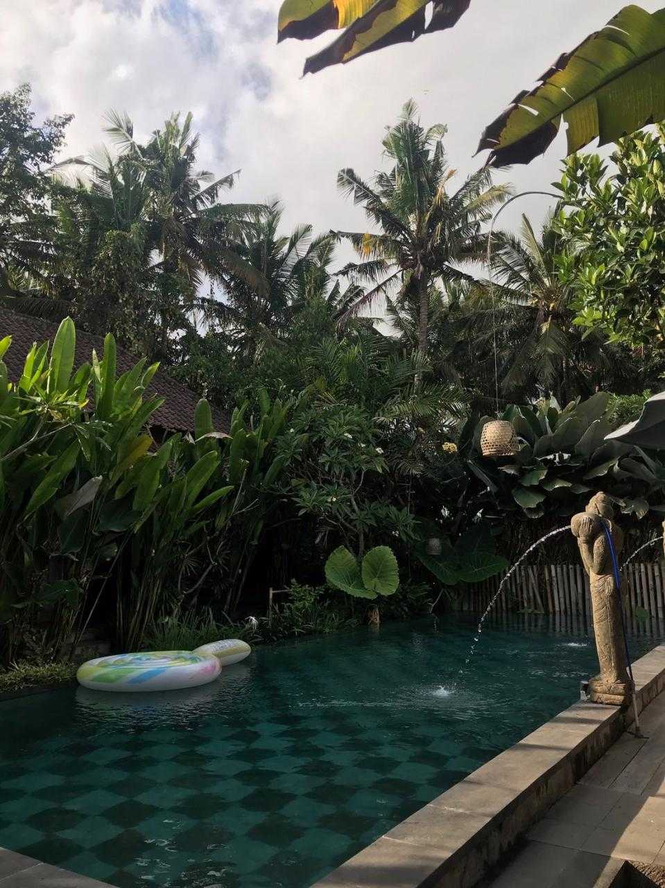 Kailash Homestay Ubud: Suasana Tenang di Kailash Homestay 