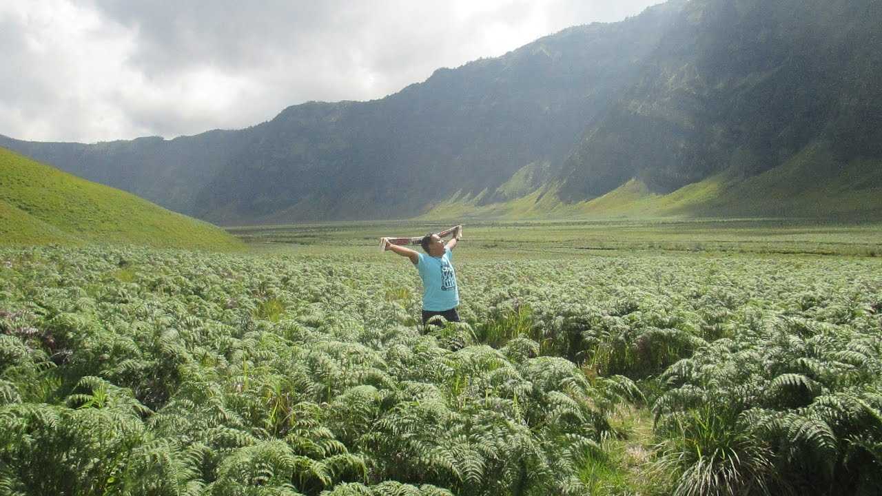 Savana Homestay Bromo: Kesempurnaan Beristirahat di Bromo 