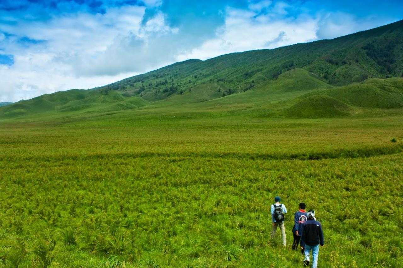 Hotel Savana Bromo: Pengalaman Menginap yang Tak Terlupakan di Bromo 