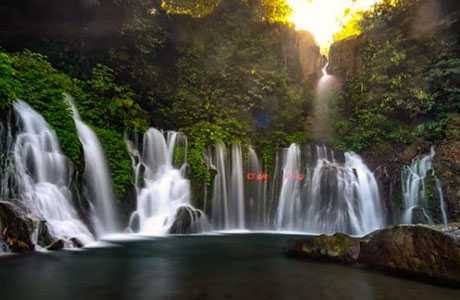 Penginapan Dampit Malang: Tempat Nyaman di Pelukan Alam 
